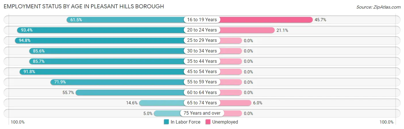 Employment Status by Age in Pleasant Hills borough
