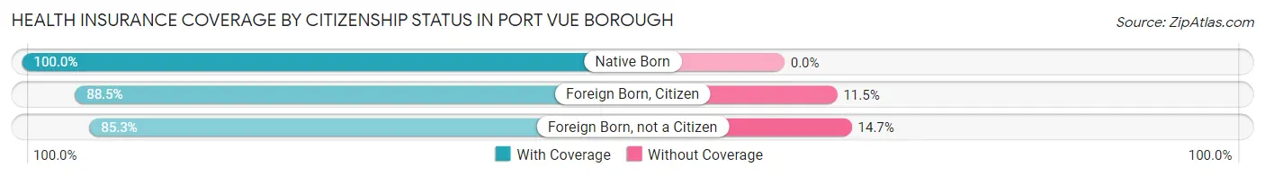 Health Insurance Coverage by Citizenship Status in Port Vue borough