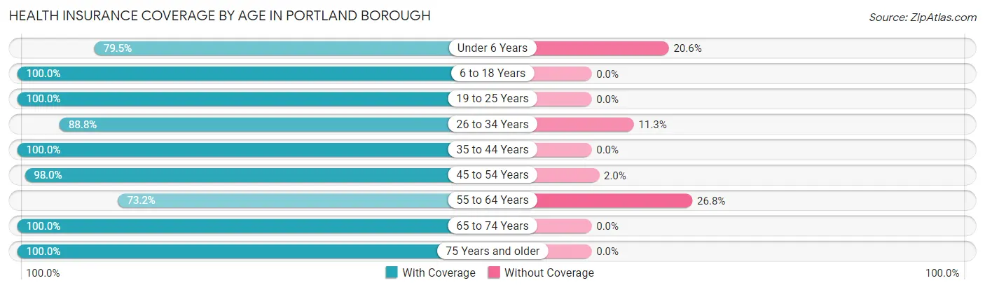 Health Insurance Coverage by Age in Portland borough