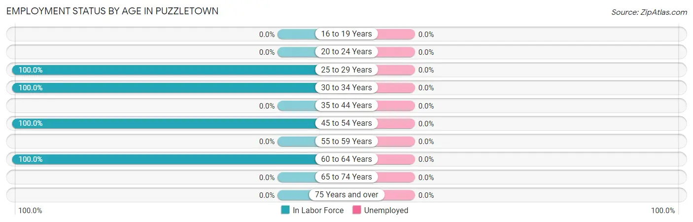 Employment Status by Age in Puzzletown