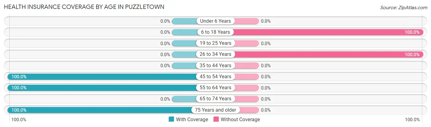 Health Insurance Coverage by Age in Puzzletown