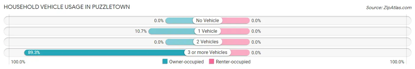 Household Vehicle Usage in Puzzletown