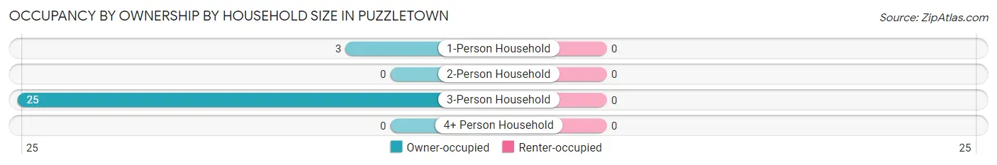 Occupancy by Ownership by Household Size in Puzzletown