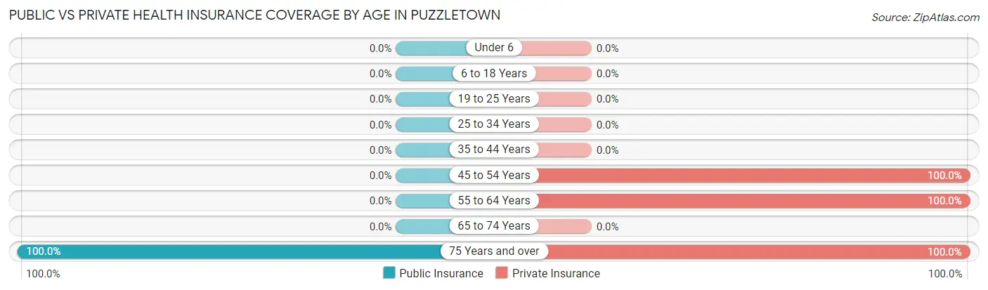 Public vs Private Health Insurance Coverage by Age in Puzzletown