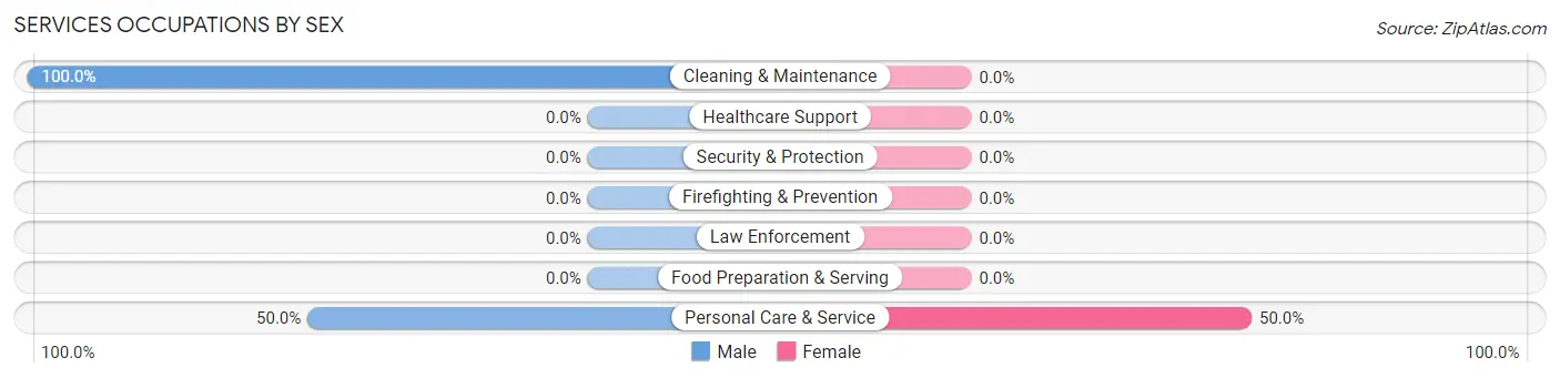 Services Occupations by Sex in Puzzletown