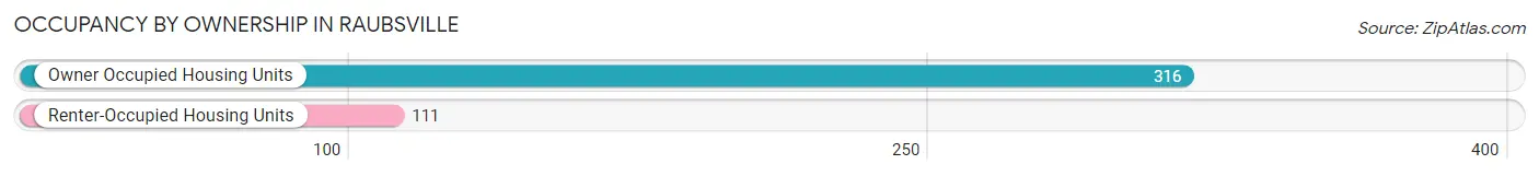 Occupancy by Ownership in Raubsville
