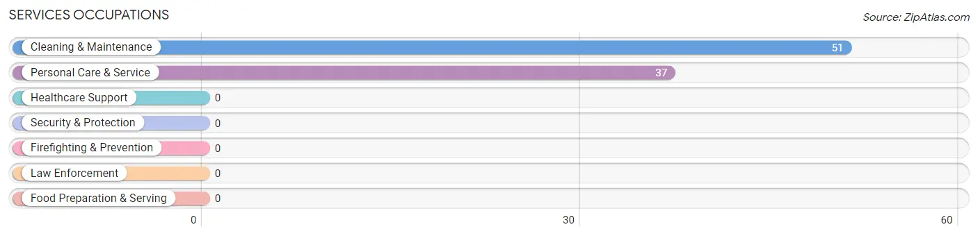 Services Occupations in Raubsville