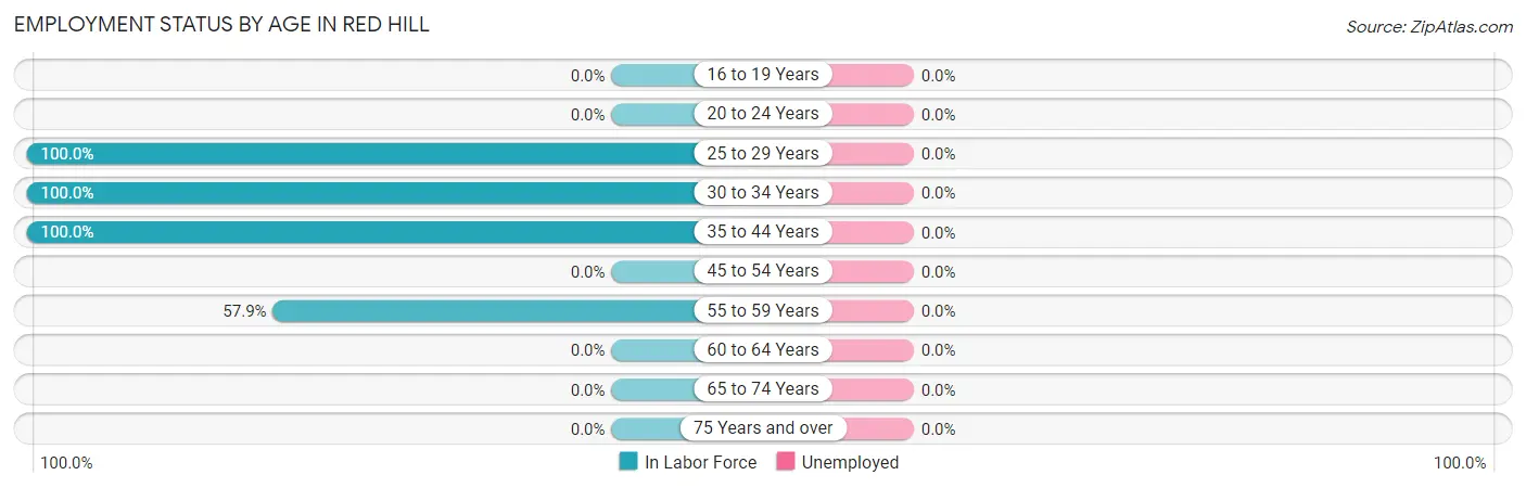 Employment Status by Age in Red Hill