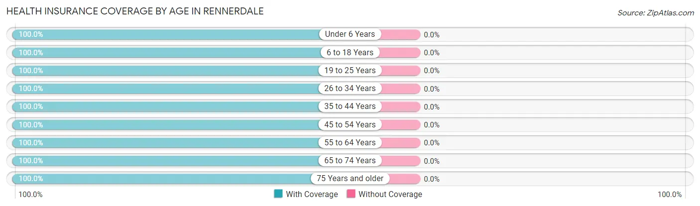 Health Insurance Coverage by Age in Rennerdale