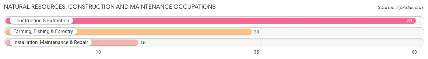 Natural Resources, Construction and Maintenance Occupations in Rheems