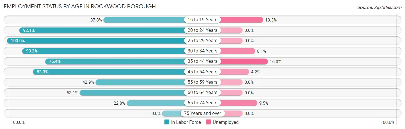Employment Status by Age in Rockwood borough