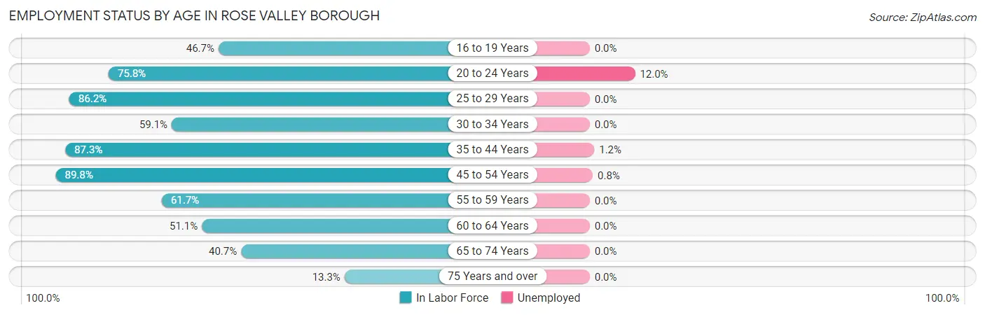 Employment Status by Age in Rose Valley borough