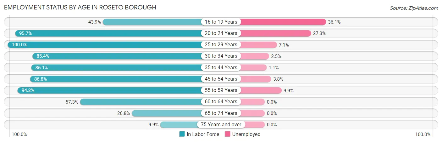 Employment Status by Age in Roseto borough