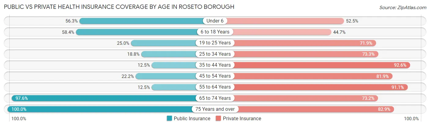 Public vs Private Health Insurance Coverage by Age in Roseto borough