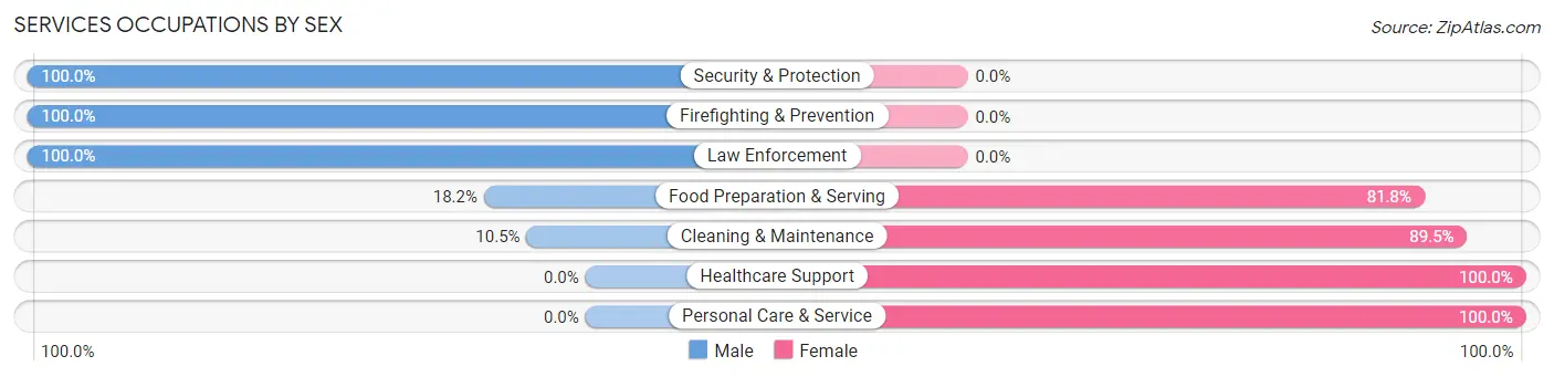 Services Occupations by Sex in Roseto borough