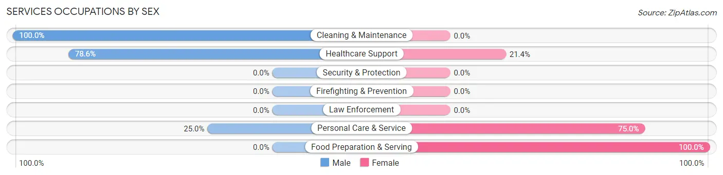 Services Occupations by Sex in Roulette
