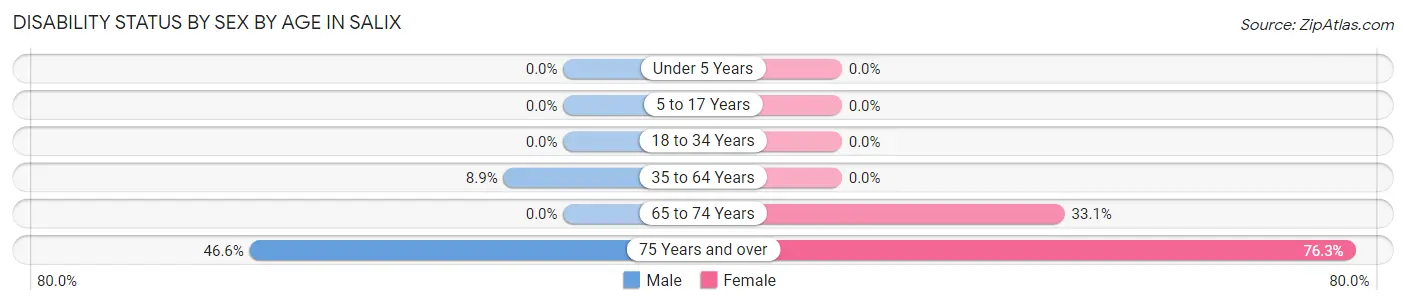 Disability Status by Sex by Age in Salix