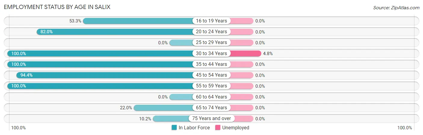 Employment Status by Age in Salix