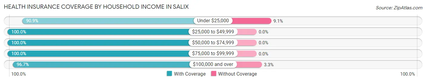 Health Insurance Coverage by Household Income in Salix
