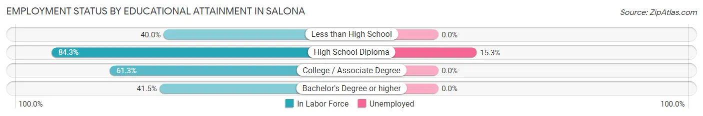 Employment Status by Educational Attainment in Salona