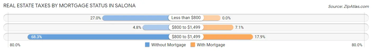 Real Estate Taxes by Mortgage Status in Salona