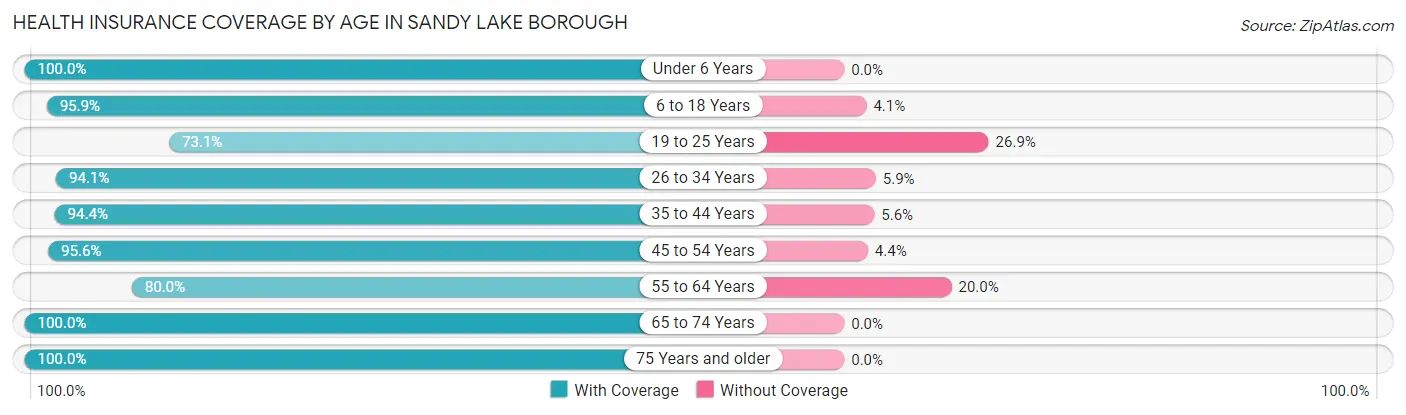 Health Insurance Coverage by Age in Sandy Lake borough