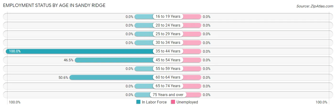 Employment Status by Age in Sandy Ridge