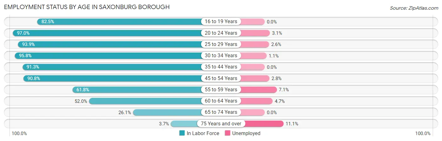 Employment Status by Age in Saxonburg borough