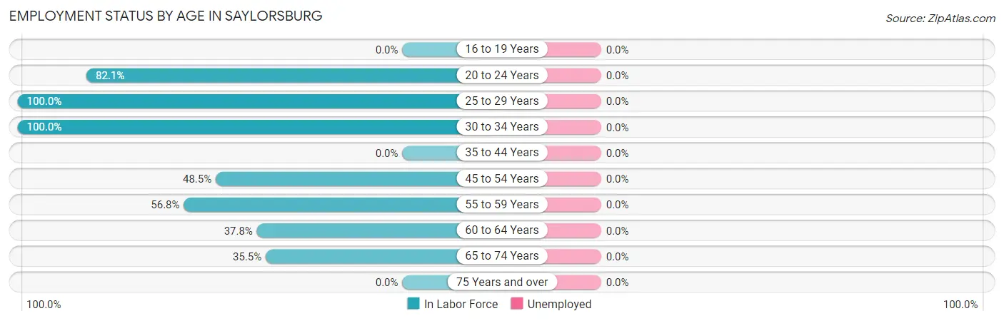 Employment Status by Age in Saylorsburg