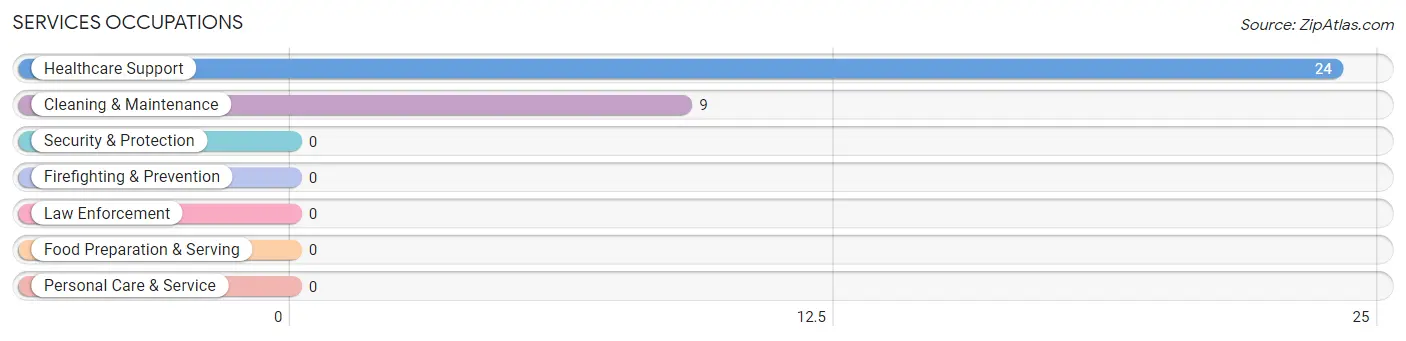 Services Occupations in Schaefferstown