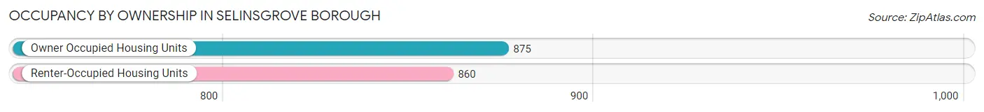 Occupancy by Ownership in Selinsgrove borough