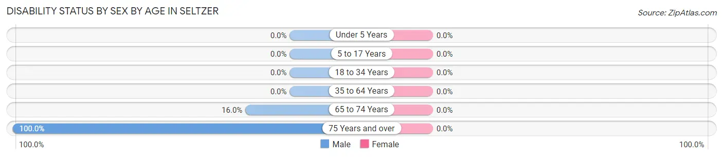 Disability Status by Sex by Age in Seltzer