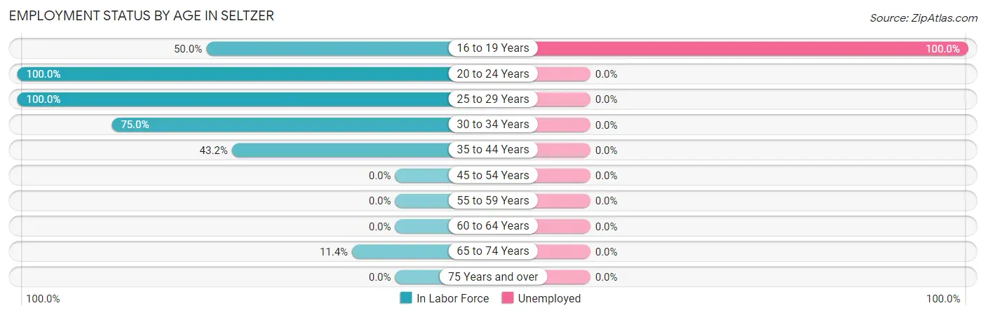 Employment Status by Age in Seltzer