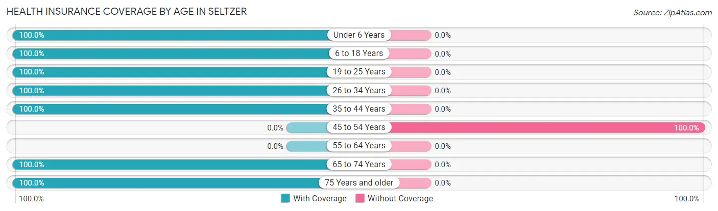 Health Insurance Coverage by Age in Seltzer