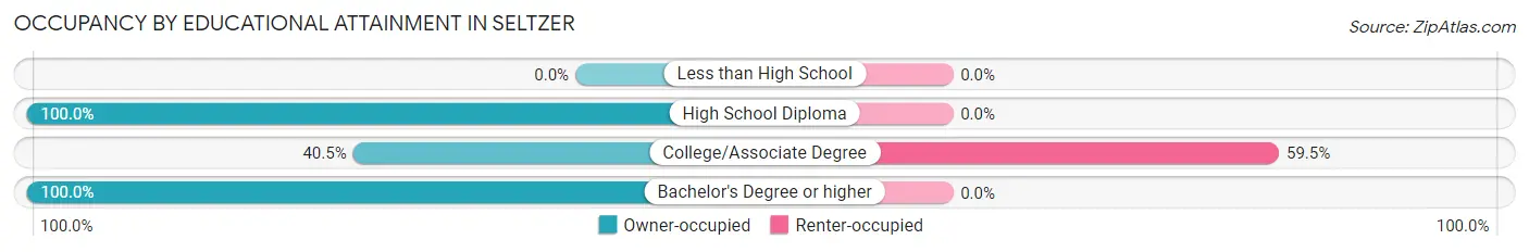 Occupancy by Educational Attainment in Seltzer