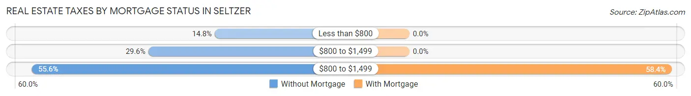 Real Estate Taxes by Mortgage Status in Seltzer