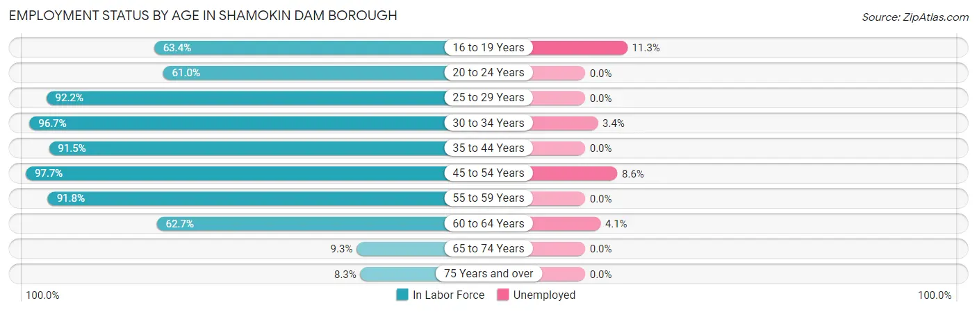 Employment Status by Age in Shamokin Dam borough