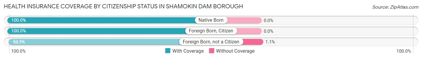 Health Insurance Coverage by Citizenship Status in Shamokin Dam borough