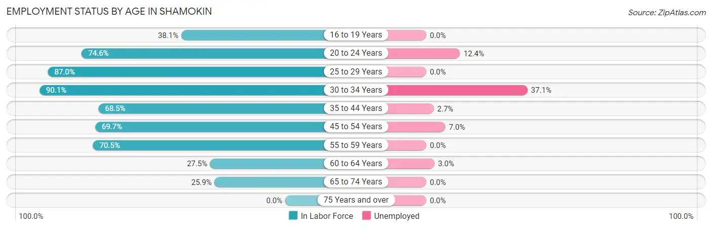 Employment Status by Age in Shamokin