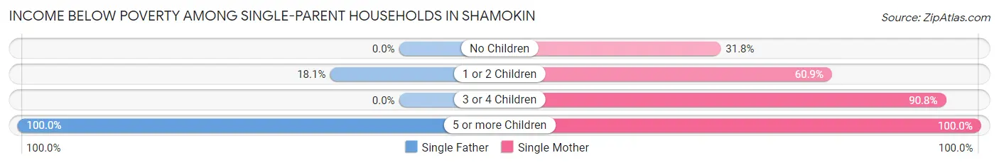Income Below Poverty Among Single-Parent Households in Shamokin
