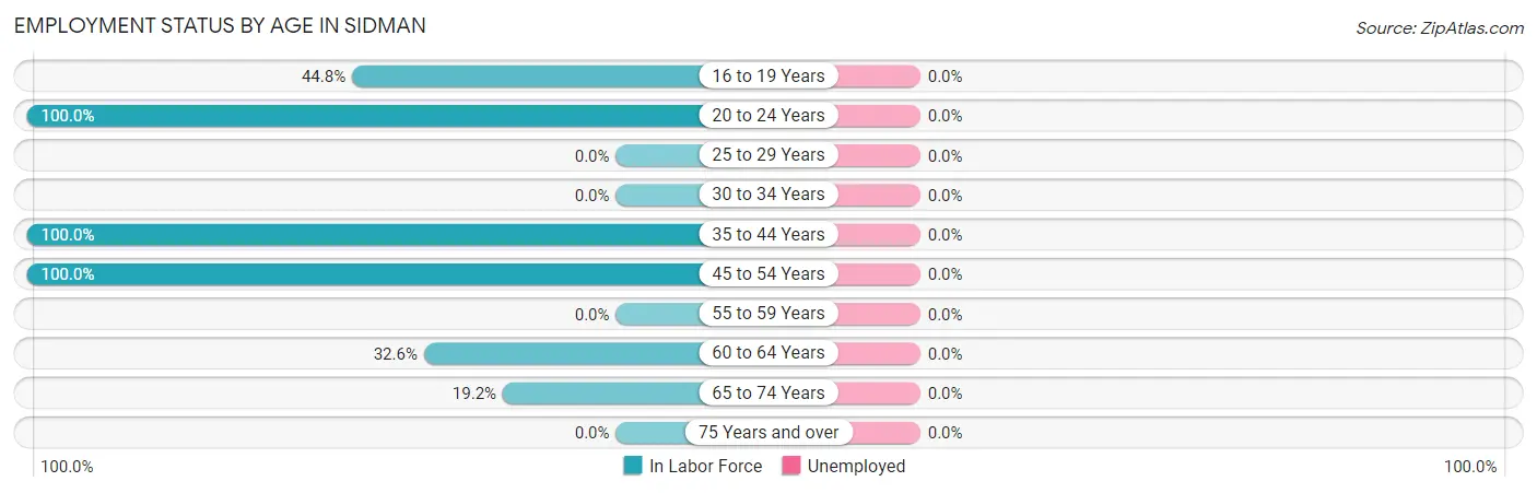Employment Status by Age in Sidman