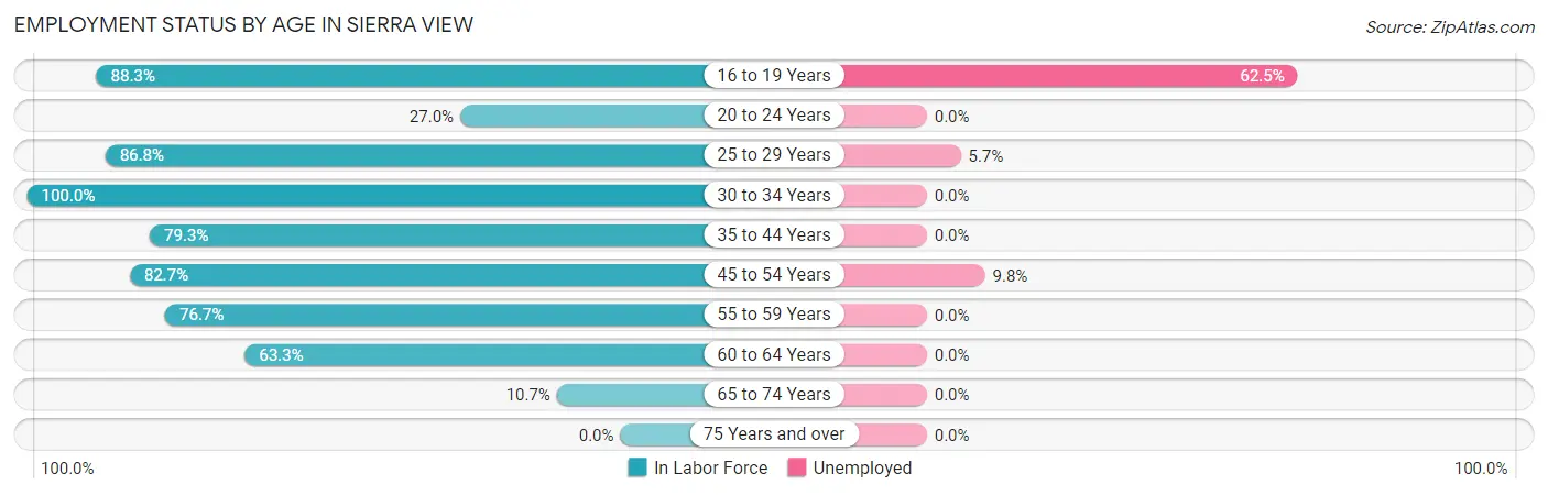Employment Status by Age in Sierra View