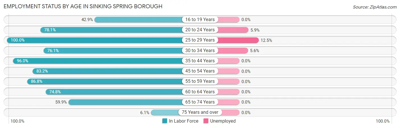 Employment Status by Age in Sinking Spring borough
