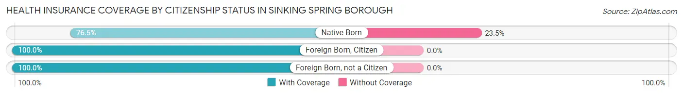 Health Insurance Coverage by Citizenship Status in Sinking Spring borough