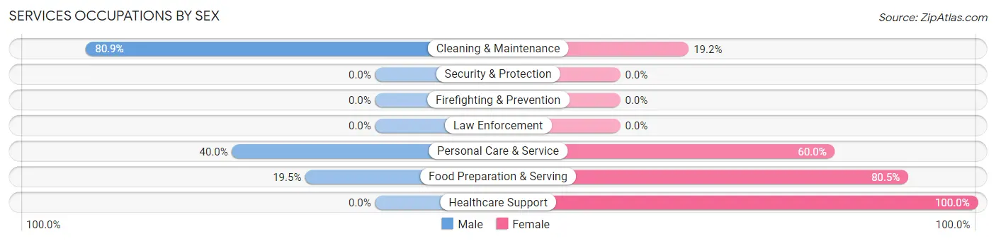 Services Occupations by Sex in Sinking Spring borough
