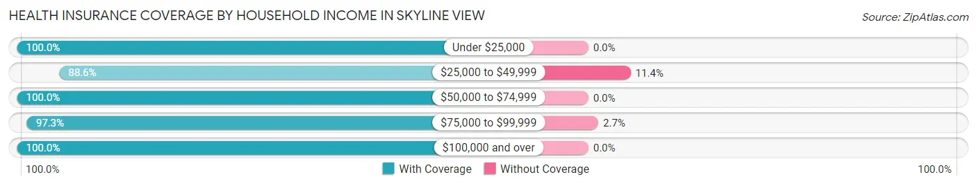 Health Insurance Coverage by Household Income in Skyline View