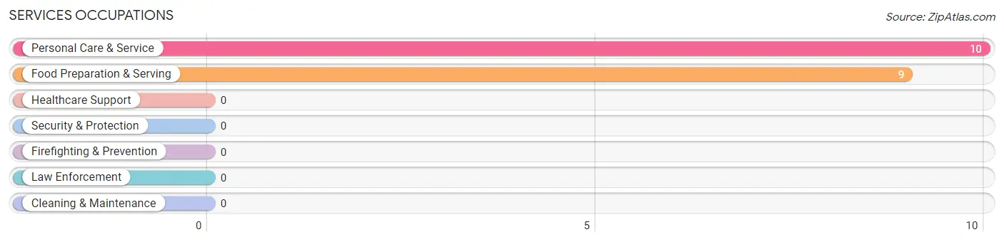 Services Occupations in Slovan