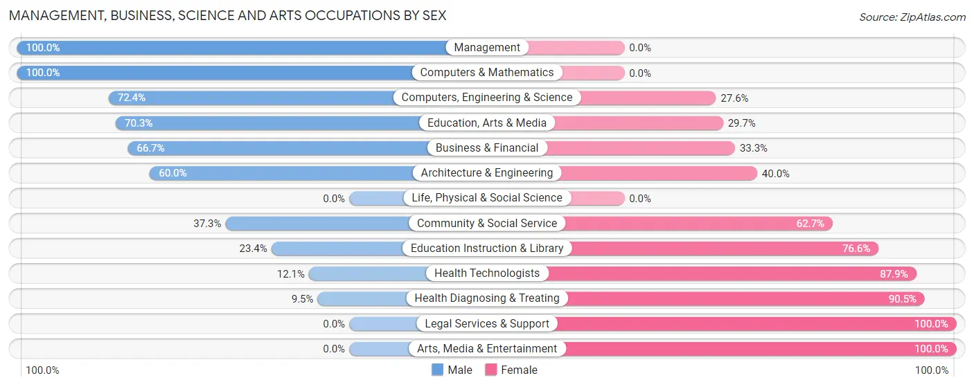 Management, Business, Science and Arts Occupations by Sex in Smethport borough