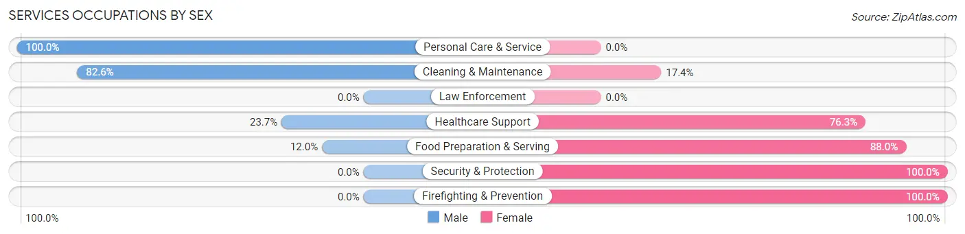 Services Occupations by Sex in Smethport borough