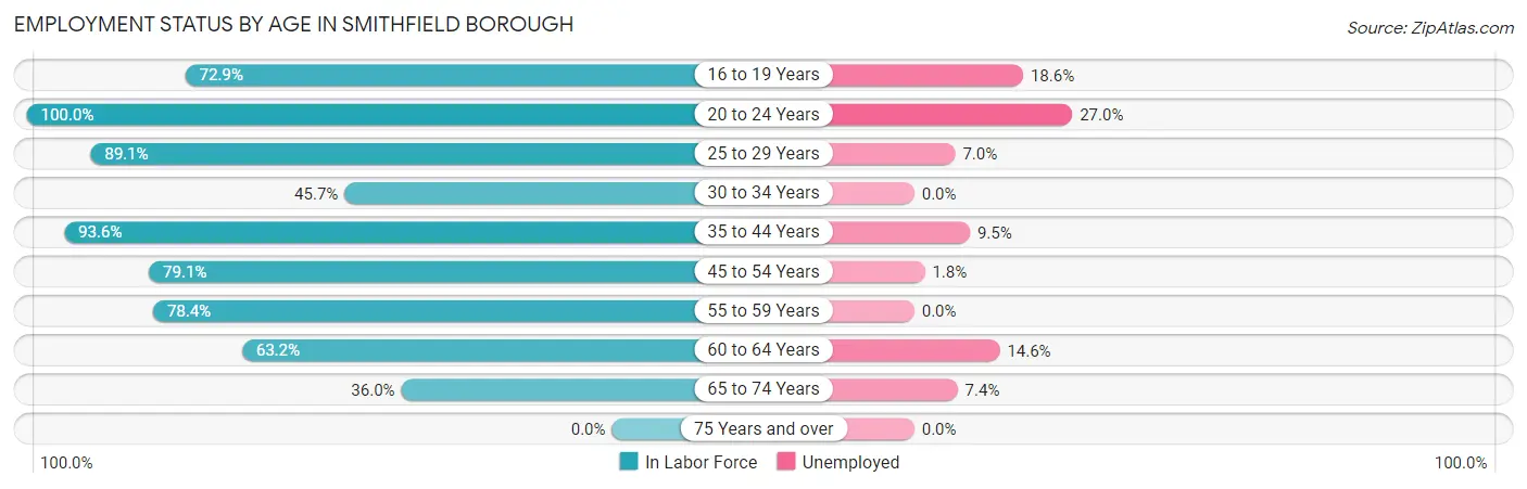 Employment Status by Age in Smithfield borough